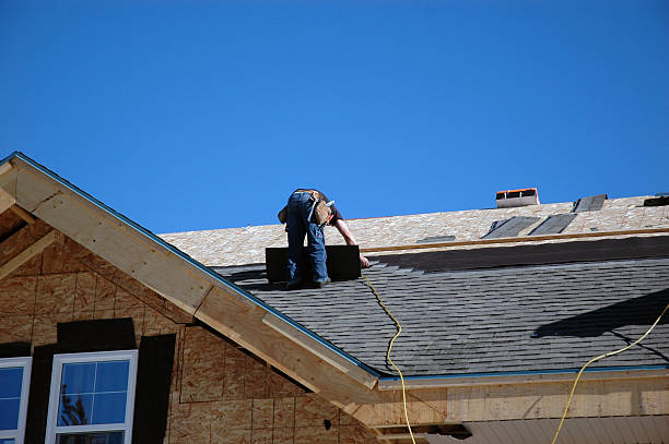 Best Shingle Roofing Installation  in Mosheim, TN